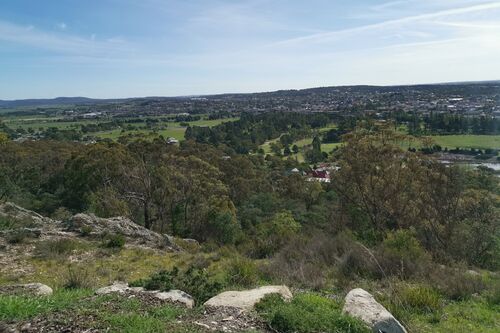 The Abbey Motel Goulburn - Local Attractions